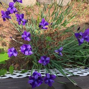 Meet your Posher, Marissa